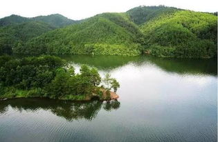 3. 蜂蜂点评