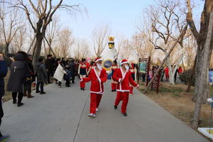 #龙# 与 #蛇# 的阴阳交织——古老符号再现