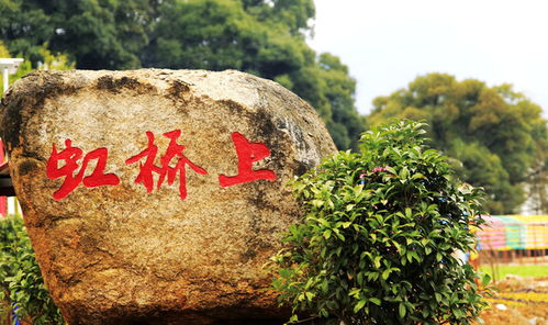 葛仙山：一个被滤镜毁掉的道教圣地？2026年最新避坑指南