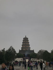 偶然遇见的小惊喜：