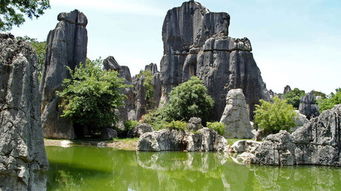 昆明周边一日游：石林与滇池