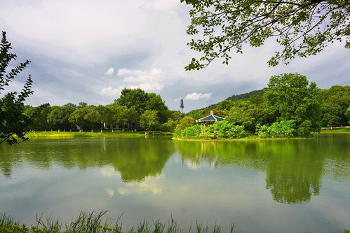 木棉湖的前世今生