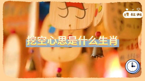 挖空心思的生肖是哪个？埋头苦干的最佳生肖是哪位？