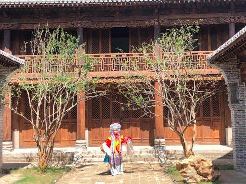 一、淮阳古韵：历史的回声，文化的沉淀