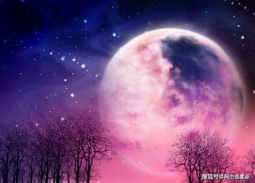 那些星座们啊，啧啧啧