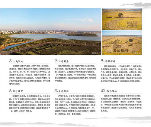 东营三亚：一场跨越时空的错觉