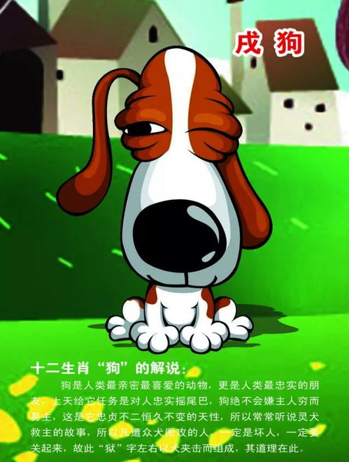 82年属狗人的命运特点具体表现是什么？