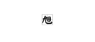 典型搭配案例（不一定靠谱， 但给你灵感）