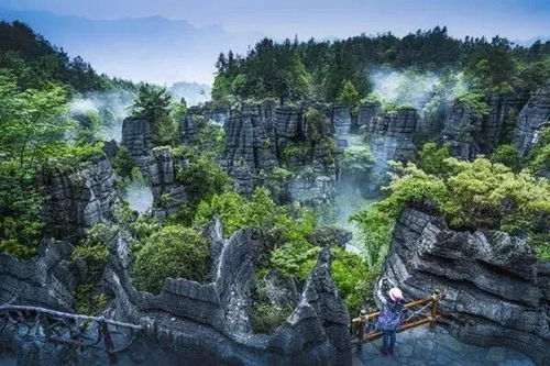 3.3 梭布垭石林：石头的海洋