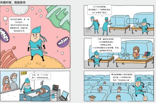 名字， 是命运的起点