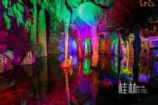 混乱的三日行程：从期待到崩溃