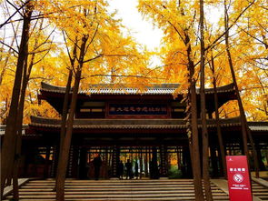 唐大慈恩寺遗址公园：禅意与枫叶的完美融合