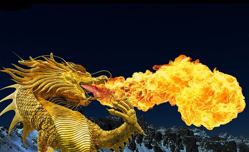 5月7日属猴五行穿衣吉日，属龙人的吉祥色衣服是什么？