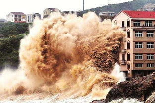 台风淹水保险赔吗,台风淹水保险赔吗
