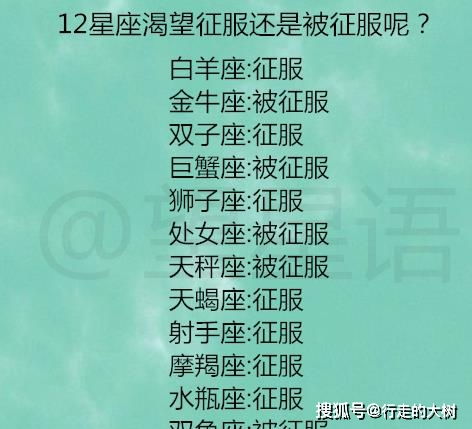 摩羯座：爱情里的精算师
