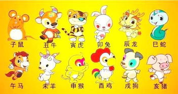 大人小孩生肖相冲，这种情况常见吗？