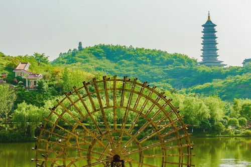 文化体验