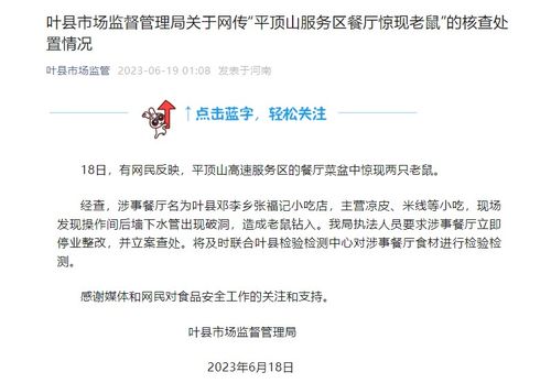 鼠鼠们：机灵得像个较小侦探