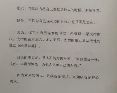 噪音与乱码交织