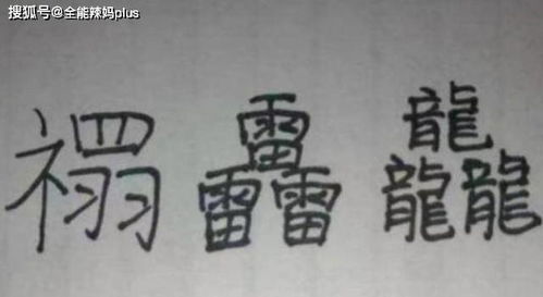 名字里的“龙”可不是随便挑的