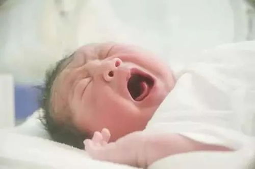 宝宝出生前医院要求取名，新生儿流产如何改名字取一个好听的？