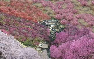 景点推荐一：那个名字彳艮长的大观园