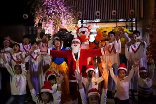 福富町风俗6：独家揭秘，热门风俗体验攻略！