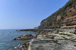 涠洲岛春节游玩攻略：海岛风情+火山奇观的完美组合！