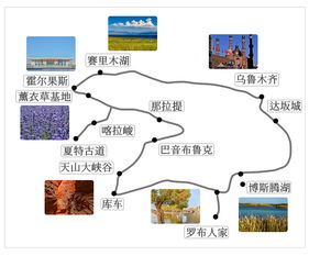噪音段落一：回忆一下去年的烤肉