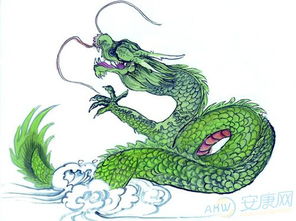 总而言之， 2016年是属龙人的机遇与挑战并存的一年