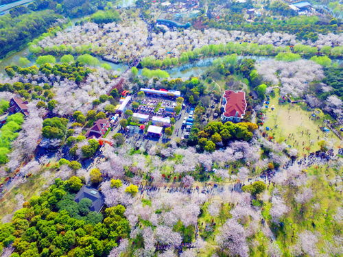 商场里的“春天”