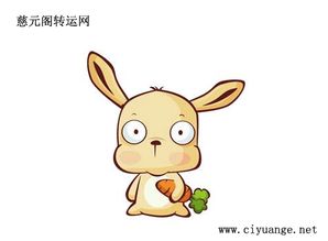 属鼠2026猪年运势中，吉祥物摆件代表什么含义？