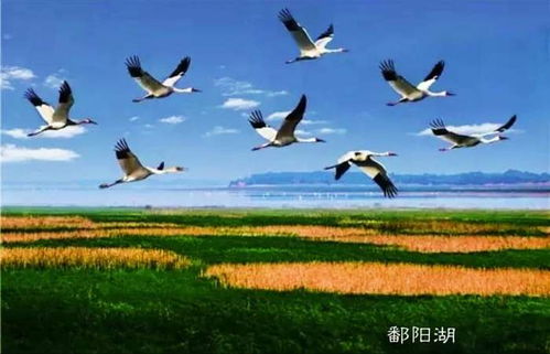 五、 所谓的文化体验其实就是听故事吹牛皮