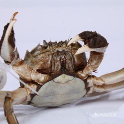 震惊！西宁街头惊现神秘生物 竟是会爬的