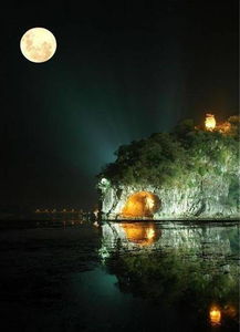 星座运势与月饼异象