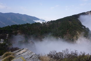 服务设施， 清虚山周边的住宿与餐饮