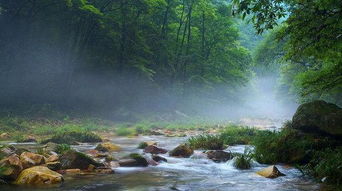 国内篇：没钱也要浪的100种方式
