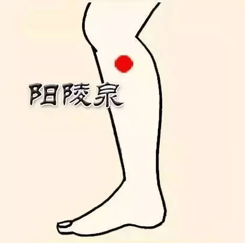 鼠年鼠月的苦恼
