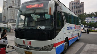 小江巴士生存指南：菜鸟必看