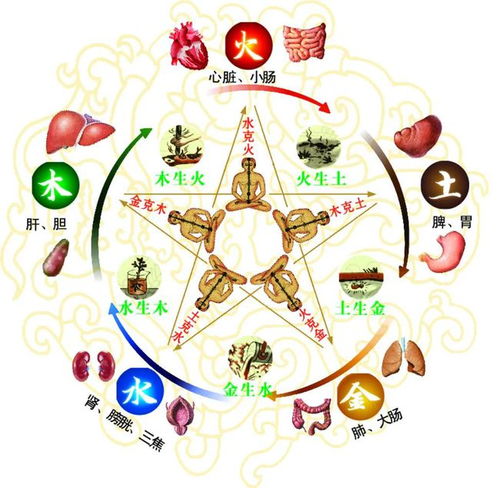 五行中缺三个元素的八字，会对命运产生哪些具体影响？