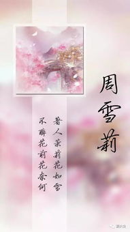 探寻柚子古风名字的韵味与寓意