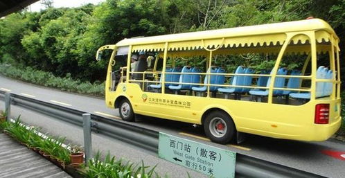 租车