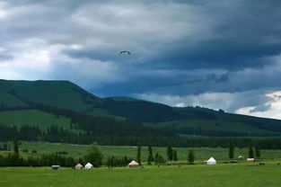 第二天：马背上的哲学思考