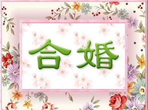 八字合婚是否准确？如何通过八字合婚找到合适的伴侣？