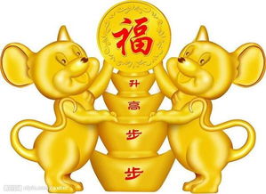 四、 现实案例分享（非专业人士）