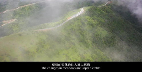 启程啦！第一站：平利县城桃花溪