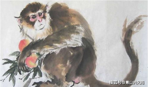 1968年属猴今年财运如何？运势会有哪些变化？