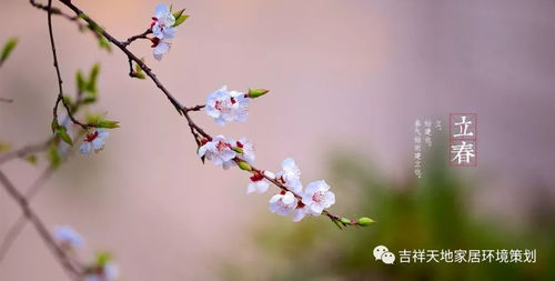 情感与立春：心里头的那股子躁动