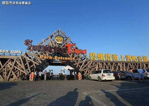 脑子被门夹了才会去的车市