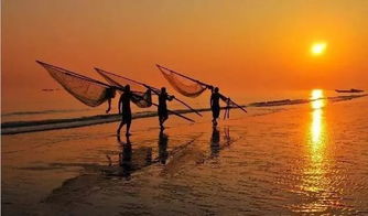 防城港门票大揭秘：你以为捡到宝，其实掉坑里